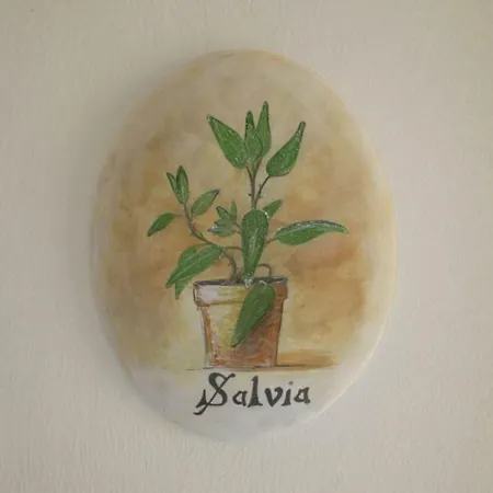 Le Pigne Taurisano